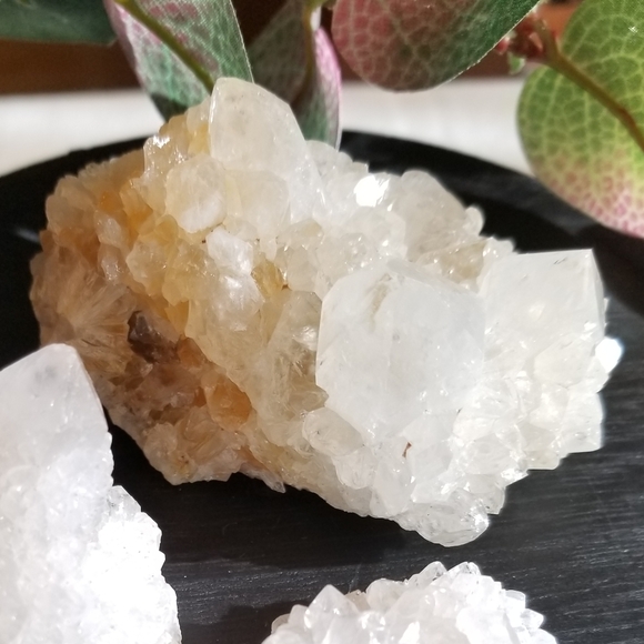 Clear Cactus Quartz Crystal From South Africa - Picture 3 of 4